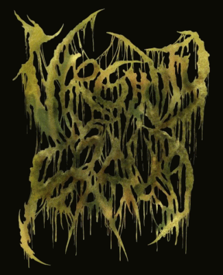 logo Virginity Fraud